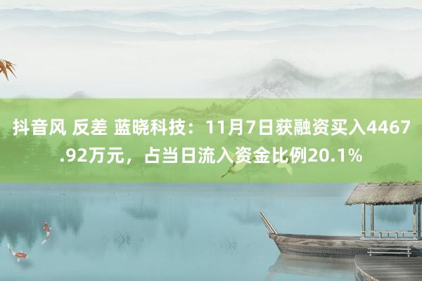 抖音风 反差 蓝晓科技：11月7日获融资买入4467.92万元，占当日流入资金比例20.1%