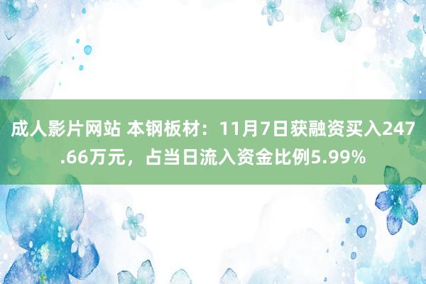 成人影片网站 本钢板材：11月7日获融资买入247.66万元，占当日流入资金比例5.99%