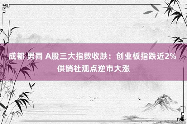 成都 男同 A股三大指数收跌：创业板指跌近2% 供销社观点逆市大涨