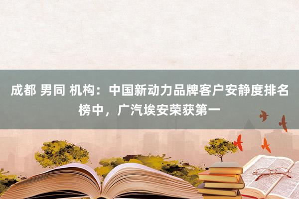 成都 男同 机构：中国新动力品牌客户安静度排名榜中，广汽埃安荣获第一