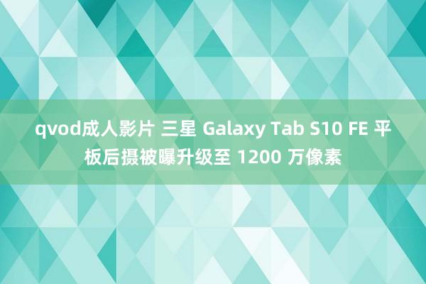 qvod成人影片 三星 Galaxy Tab S10 FE 平板后摄被曝升级至 1200 万像素