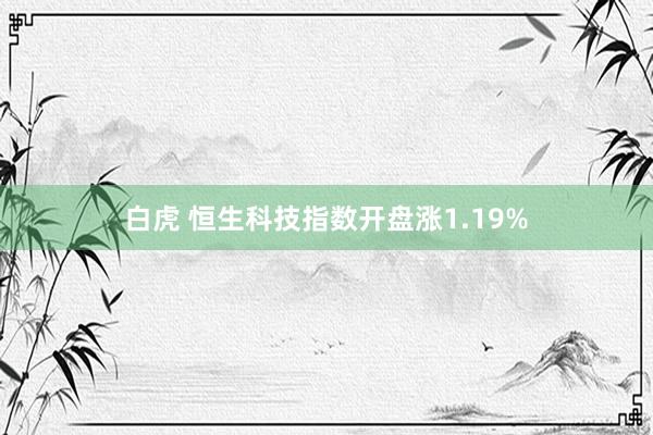 白虎 恒生科技指数开盘涨1.19%