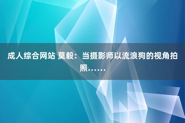 成人综合网站 莫毅：当摄影师以流浪狗的视角拍照……