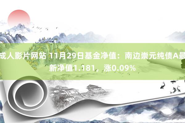 成人影片网站 11月29日基金净值：南边崇元纯债A最新净值1.181，涨0.09%