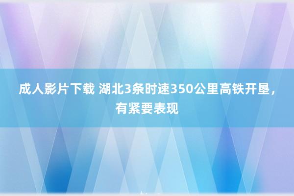 成人影片下载 湖北3条时速350公里高铁开垦，有紧要表现