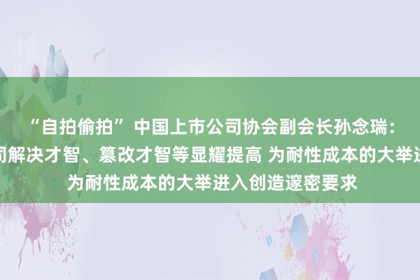 “自拍偷拍” 中国上市公司协会副会长孙念瑞：面前我国上市公司解决才智、篡改才智等显耀提高 为耐性成本的大举进入创造邃密要求