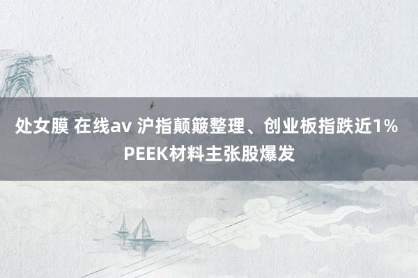 处女膜 在线av 沪指颠簸整理、创业板指跌近1% PEEK材料主张股爆发