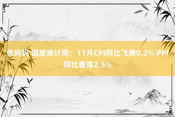 色妈妈 国度统计局：11月CPI同比飞腾0.2% PPI同比着落2.5%