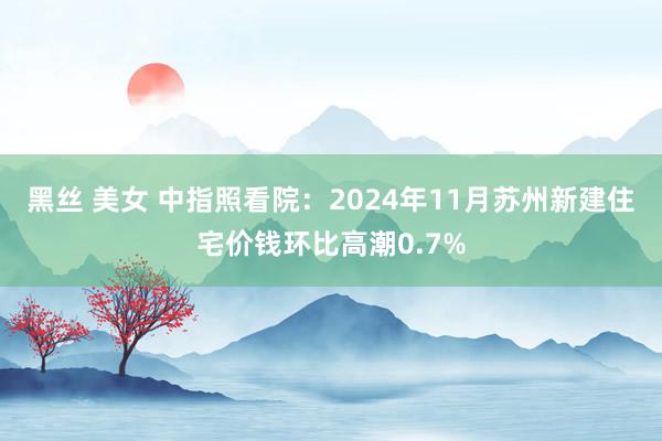 黑丝 美女 中指照看院：2024年11月苏州新建住宅价钱环比高潮0.7%