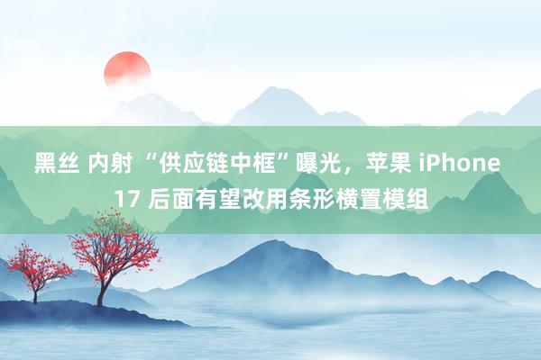 黑丝 内射 “供应链中框”曝光，苹果 iPhone 17 后面有望改用条形横置模组