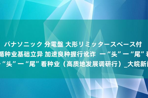 パナソニック 分電盤 大形リミッタースペース付 露出・半埋込両用形 遵循种业基础立异 加速良种握行讹诈  一“头”一“尾”看种业（高质地发展调研行）_大皖新闻 | 安徽网