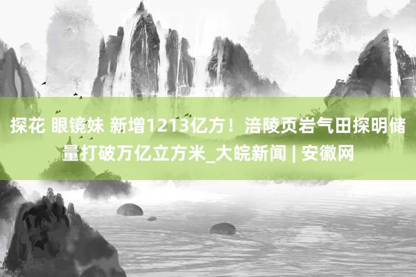 探花 眼镜妹 新增1213亿方！涪陵页岩气田探明储量打破万亿立方米_大皖新闻 | 安徽网