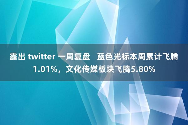 露出 twitter 一周复盘   蓝色光标本周累计飞腾1.01%，文化传媒板块飞腾5.80%