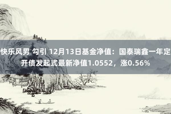 快乐风男 勾引 12月13日基金净值：国泰瑞鑫一年定开债发起式最新净值1.0552，涨0.56%