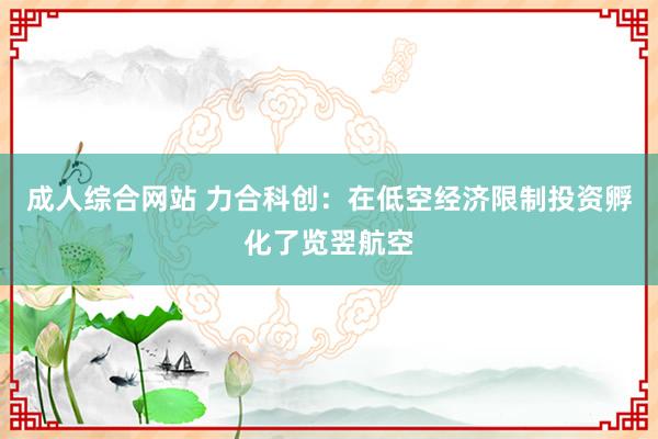 成人综合网站 力合科创：在低空经济限制投资孵化了览翌航空