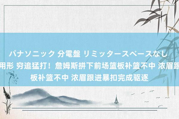 パナソニック 分電盤 リミッタースペースなし 露出・半埋込両用形 穷追猛打！詹姆斯拼下前场篮板补篮不中 浓眉跟进暴扣完成驱逐