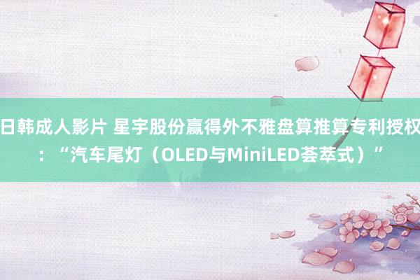 日韩成人影片 星宇股份赢得外不雅盘算推算专利授权：“汽车尾灯（OLED与MiniLED荟萃式）”