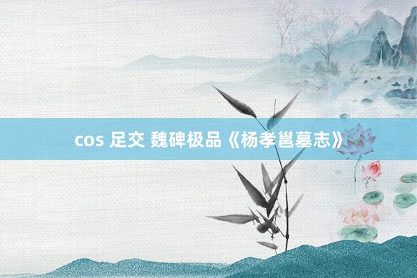 cos 足交 魏碑极品《杨孝邕墓志》