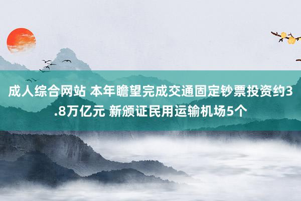 成人综合网站 本年瞻望完成交通固定钞票投资约3.8万亿元 新颁证民用运输机场5个