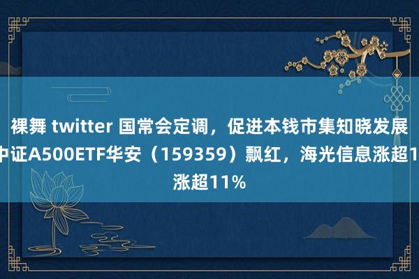 裸舞 twitter 国常会定调，促进本钱市集知晓发展，中证A500ETF华安（159359）飘红，海光信息涨超11%