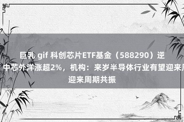 巨乳 gif 科创芯片ETF基金（588290）逆市飘红，中芯外洋涨超2%，机构：来岁半导体行业有望迎来周期共振