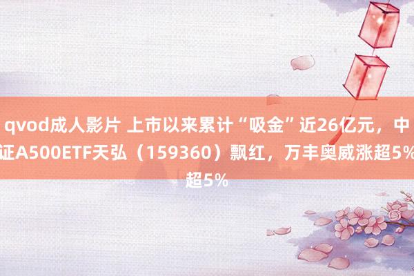 qvod成人影片 上市以来累计“吸金”近26亿元，中证A500ETF天弘（159360）飘红，万丰奥威涨超5%