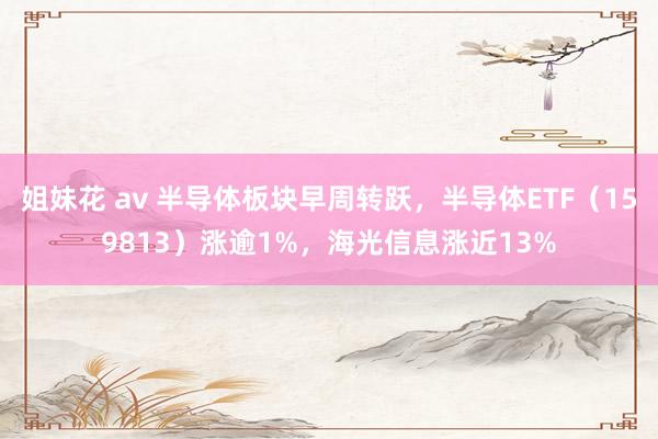 姐妹花 av 半导体板块早周转跃，半导体ETF（159813）涨逾1%，海光信息涨近13%