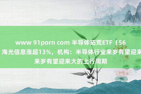 www 91porn com 半导体拓荒ETF（561980）飘红，海光信息涨超13%，机构：半导体行业来岁有望迎来大的上行周期