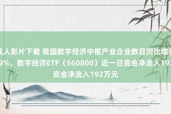 成人影片下载 我国数字经济中枢产业企业数目同比增长17.99%，数字经济ETF（560800）近一日资金净流入192万元