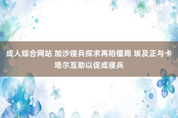 成人综合网站 加沙寝兵探求再陷僵局 埃及正与卡塔尔互助以促成寝兵