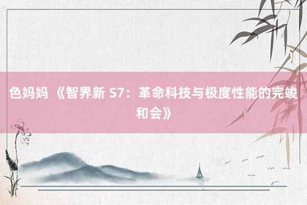 色妈妈 《智界新 S7：革命科技与极度性能的完竣和会》