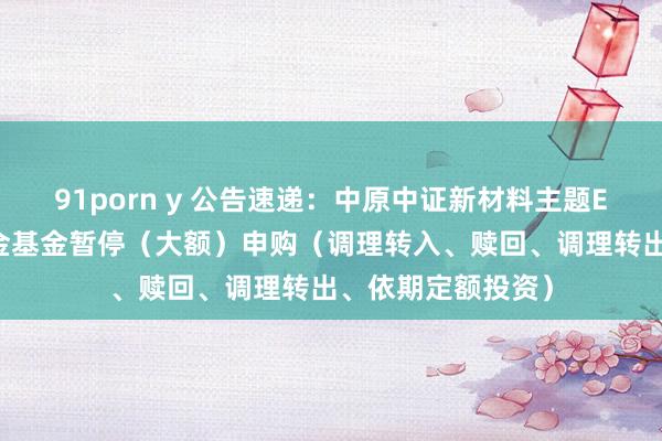 91porn y 公告速递：中原中证新材料主题ETF发起式贯串基金基金暂停（大额）申购（调理转入、赎回、调理转出、依期定额投资）