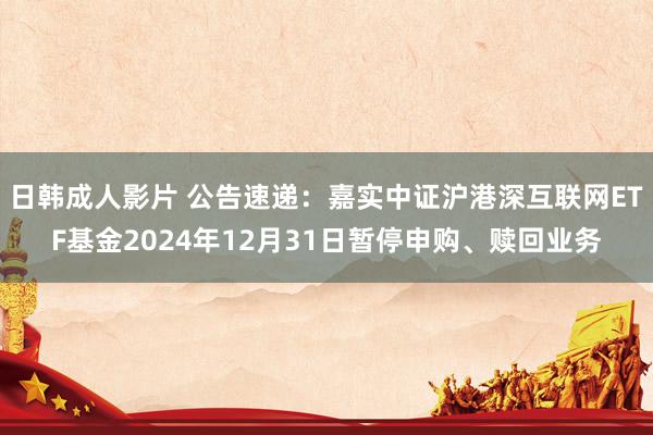 日韩成人影片 公告速递：嘉实中证沪港深互联网ETF基金2024年12月31日暂停申购、赎回业务