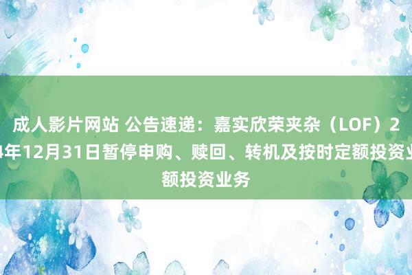 成人影片网站 公告速递：嘉实欣荣夹杂（LOF）2024年12月31日暂停申购、赎回、转机及按时定额投资业务