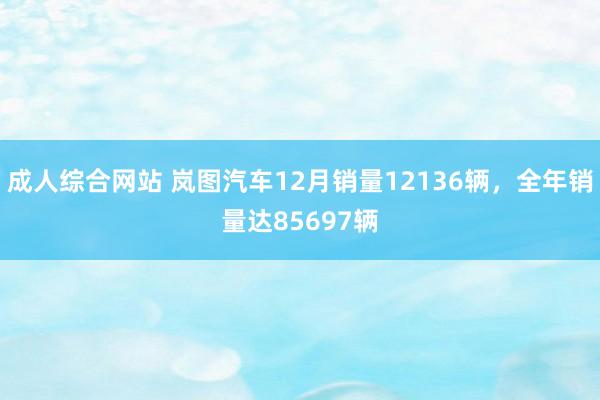 成人综合网站 岚图汽车12月销量12136辆，全年销量达85697辆