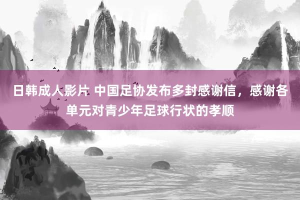 日韩成人影片 中国足协发布多封感谢信，感谢各单元对青少年足球行状的孝顺