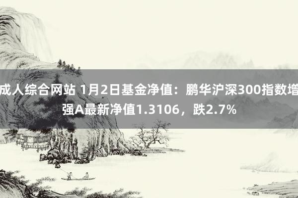 成人综合网站 1月2日基金净值：鹏华沪深300指数增强A最新净值1.3106，跌2.7%