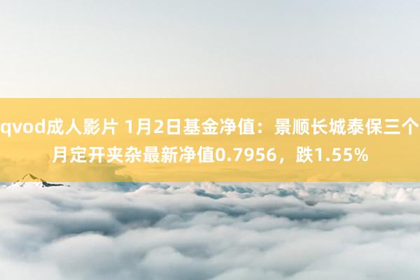 qvod成人影片 1月2日基金净值：景顺长城泰保三个月定开夹杂最新净值0.7956，跌1.55%