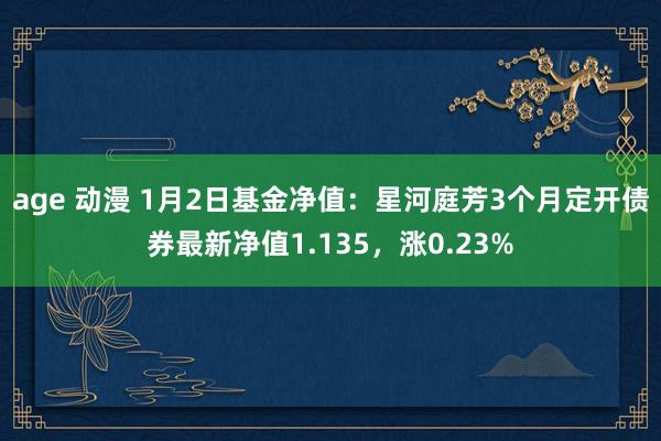 age 动漫 1月2日基金净值：星河庭芳3个月定开债券最新净值1.135，涨0.23%