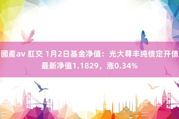 國產av 肛交 1月2日基金净值：光大尊丰纯债定开债最新净值1.1829，涨0.34%