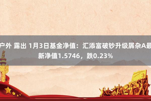 户外 露出 1月3日基金净值：汇添富破钞升级羼杂A最新净值1.5746，跌0.23%