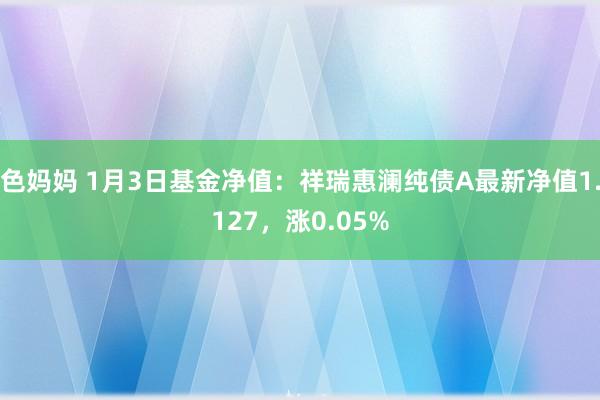 色妈妈 1月3日基金净值：祥瑞惠澜纯债A最新净值1.127，涨0.05%