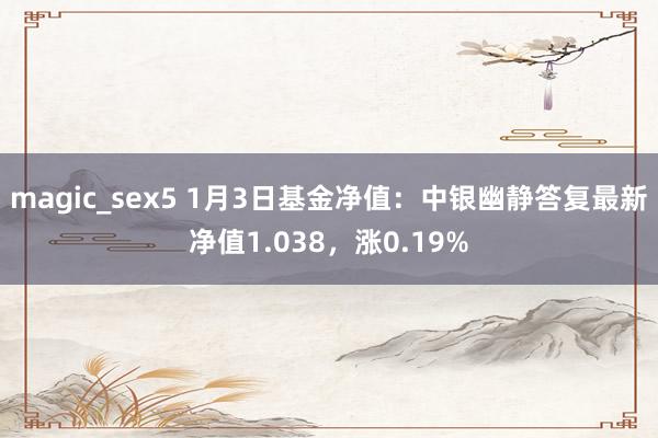 magic_sex5 1月3日基金净值：中银幽静答复最新净值1.038，涨0.19%