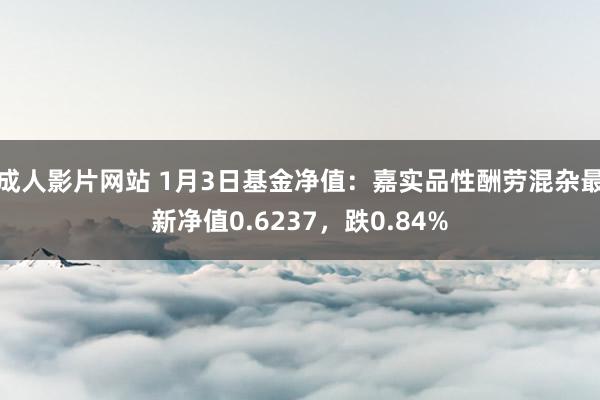 成人影片网站 1月3日基金净值：嘉实品性酬劳混杂最新净值0.6237，跌0.84%