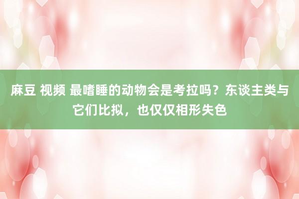 麻豆 视频 最嗜睡的动物会是考拉吗？东谈主类与它们比拟，也仅仅相形失色