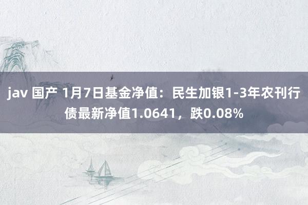 jav 国产 1月7日基金净值：民生加银1-3年农刊行债最新净值1.0641，跌0.08%