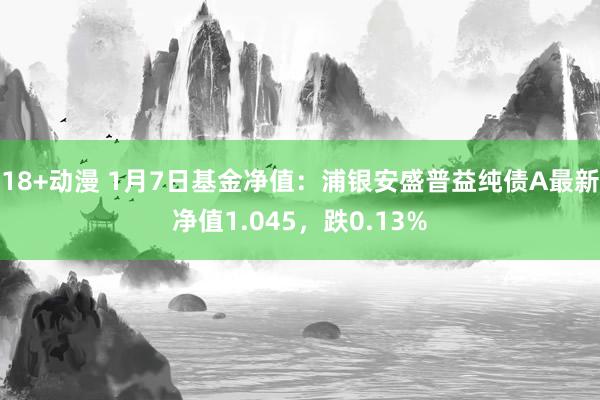 18+动漫 1月7日基金净值：浦银安盛普益纯债A最新净值1.045，跌0.13%